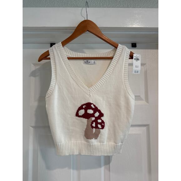 Hollister Mushroom Sweater Best Size Small - Picture 1 of 8